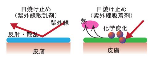 “紫外線吸収剤”と“紫外線散乱剤”という2種類のUVアイテムで紫外線のダメージを予防するときの肌のイメージ図