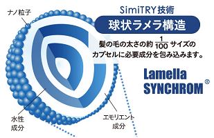 シミトリーの球状ラメラ構造の図